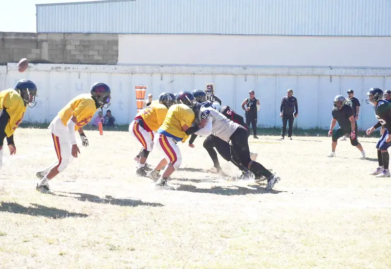aguilas-oaxaca