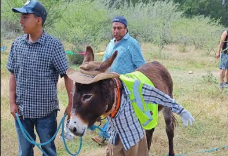 primera_carrera_burros_xochixtlapilco_oaxaca