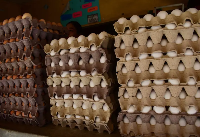 huevos