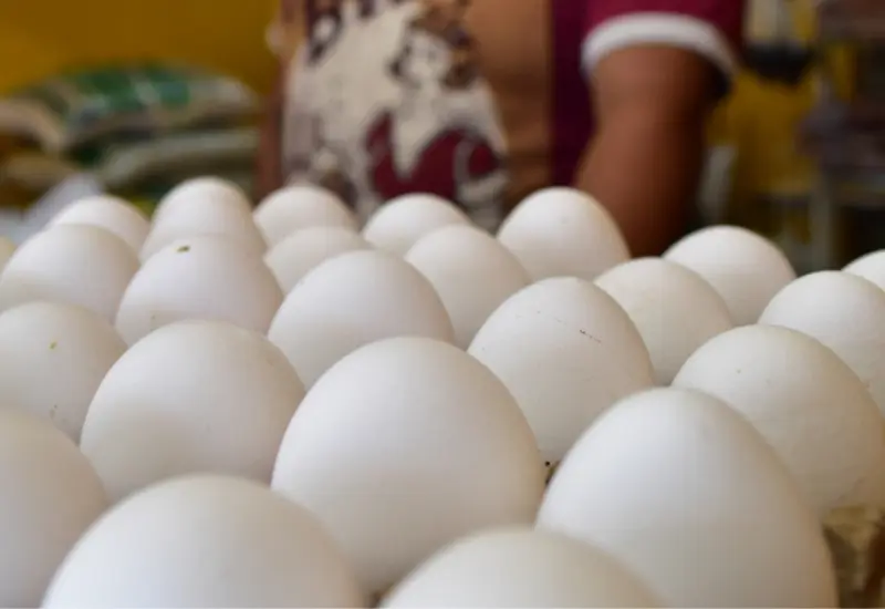 huevos