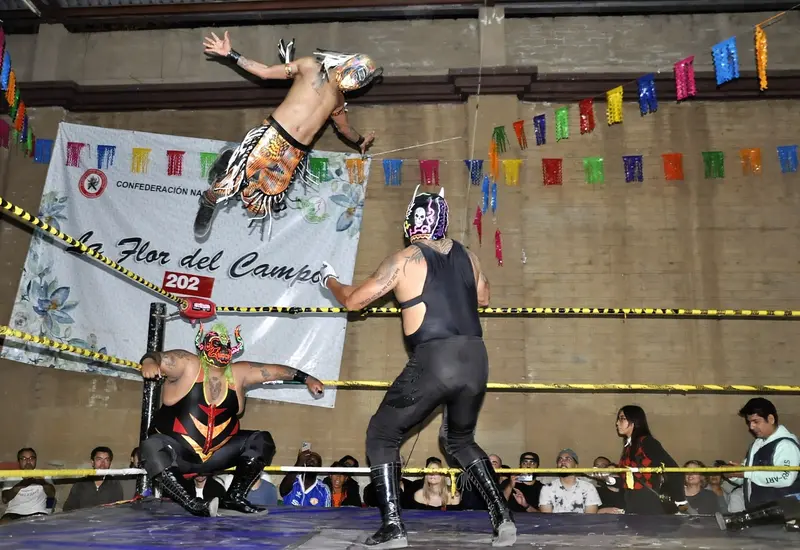 lucha-libre