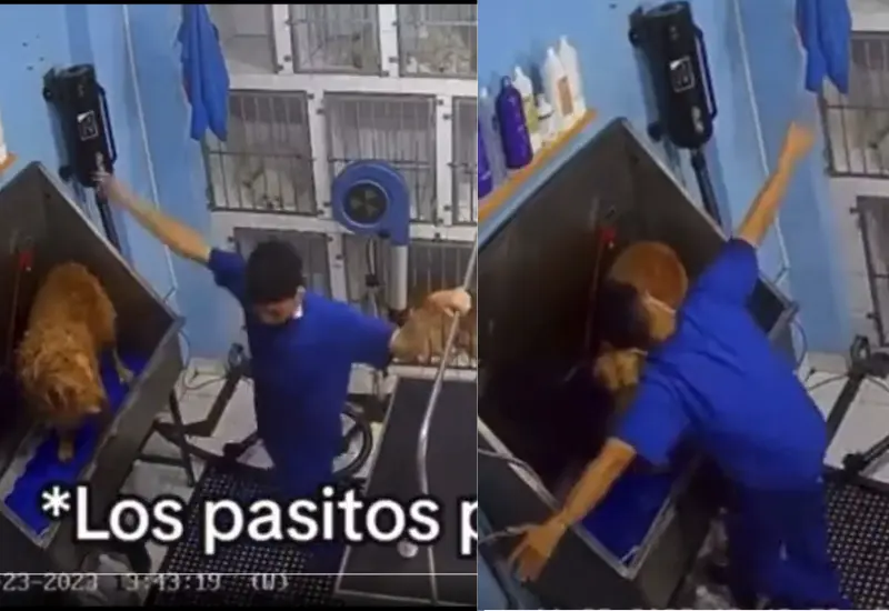empleado_baila_con_lomito_veterinaria