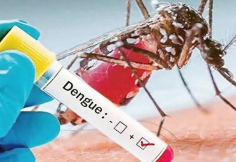 Dengue