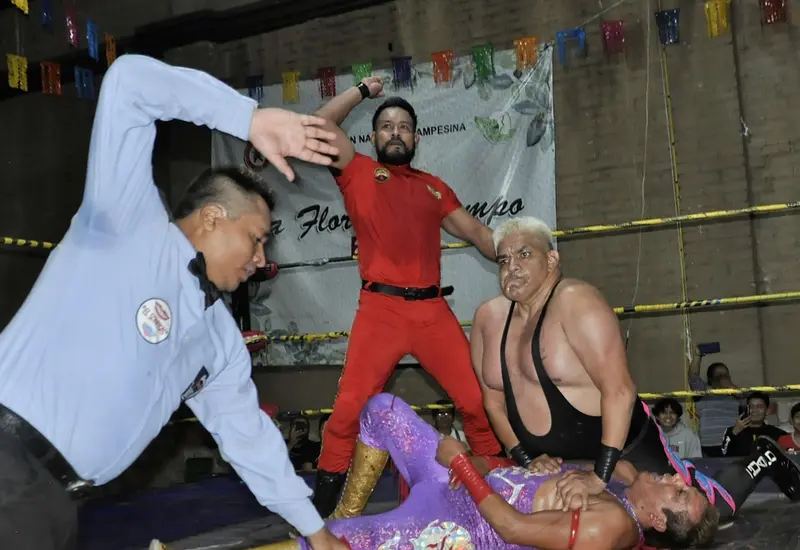 Luchas