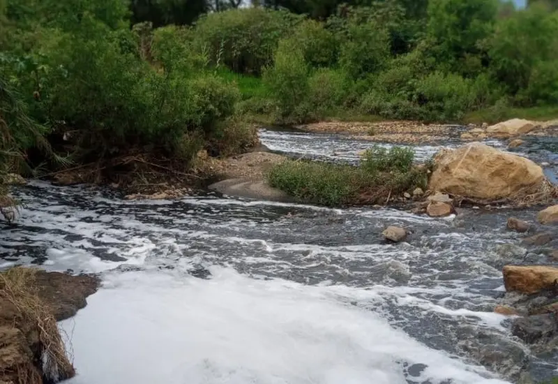 Lugar de los hechos