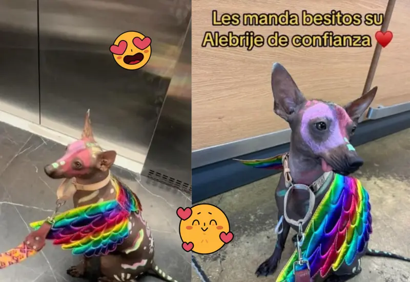 azul-xolo-alebrije (1)