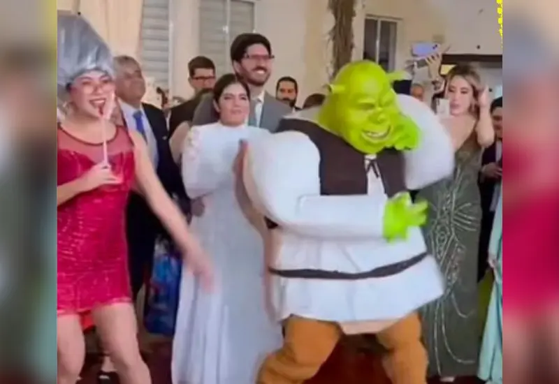boda_tematica_shrek