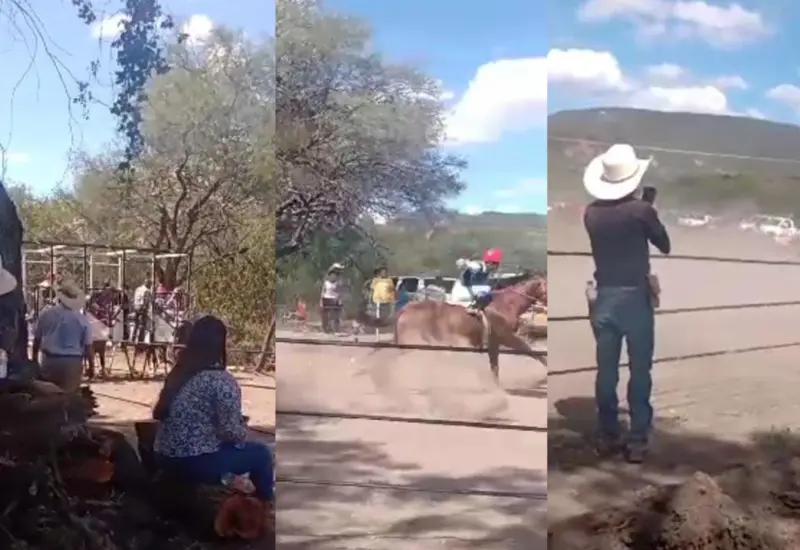 caballo-accidente4