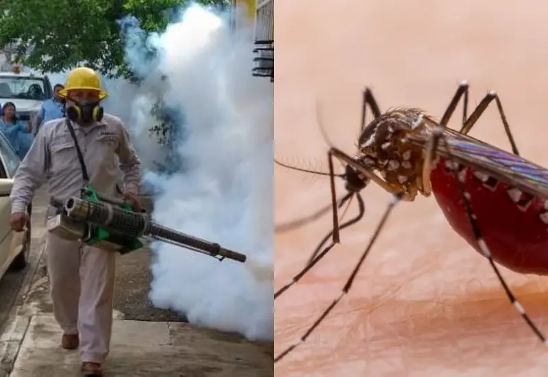 dengue-en-oaxaca