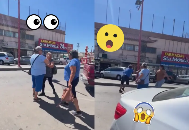pelea-doñitas