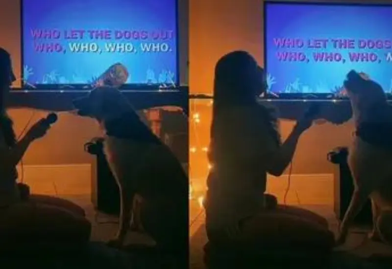 perrita_canta_karaoke_con_humana