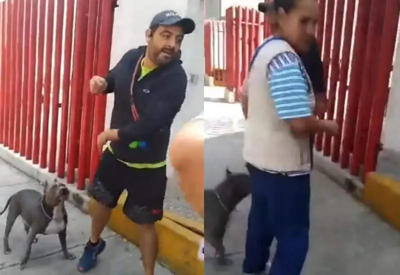 golpea_a_mujer_paseaba_pitbull