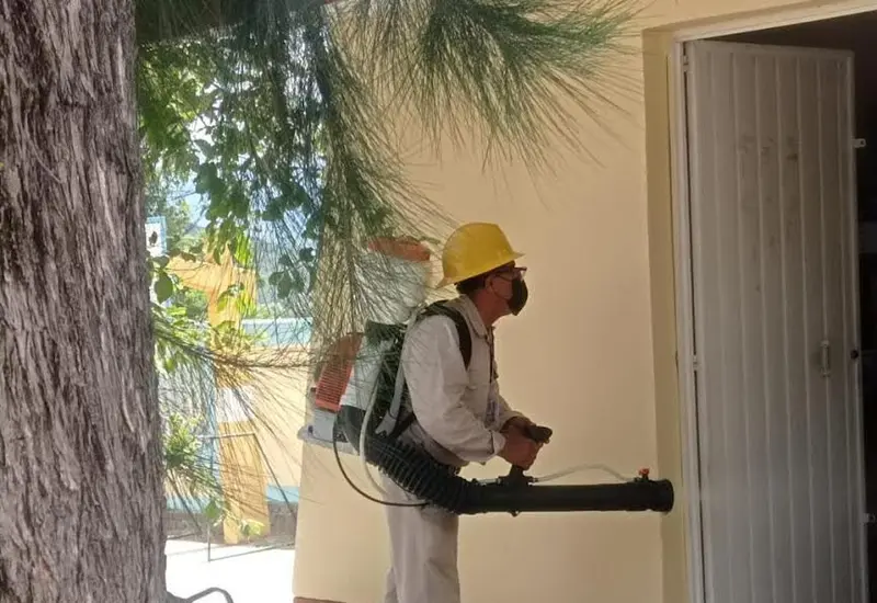 Dengue