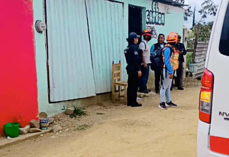 bar-zaachila