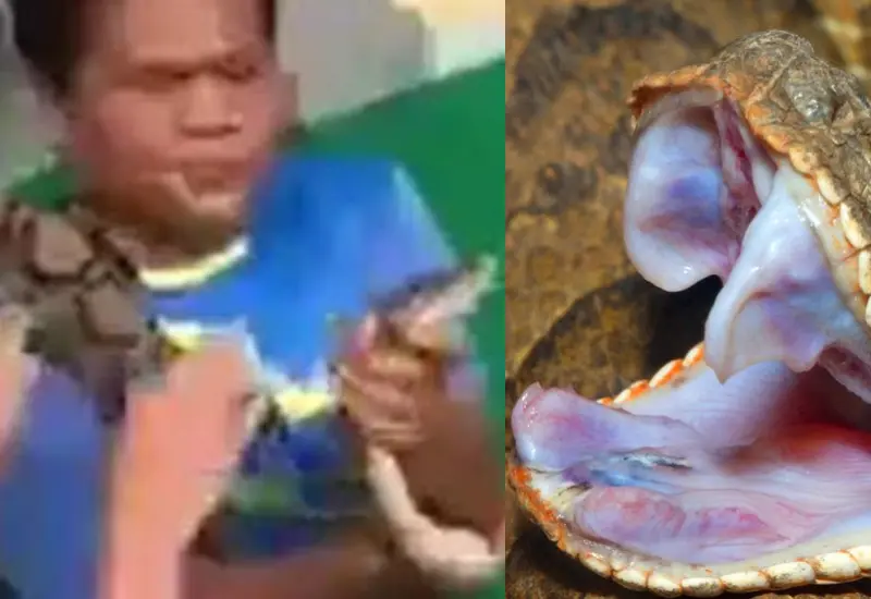 mujer_besa_serpiente_le_muerde