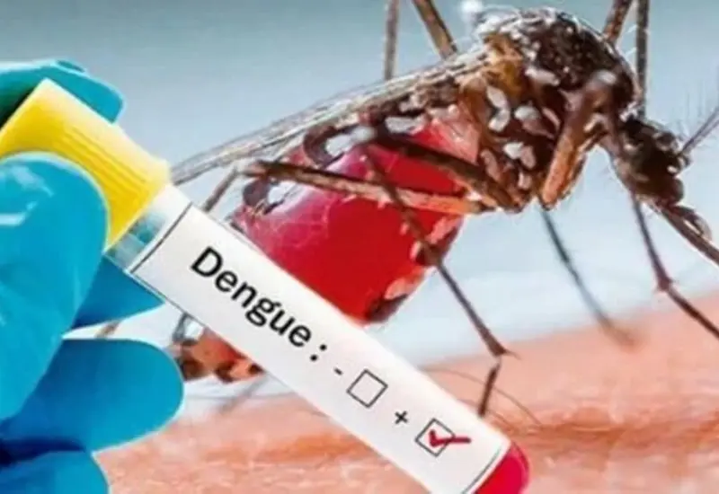 dengue