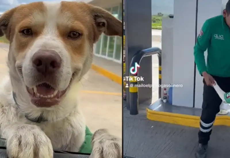 mailo_lomito_gasolinero_oaxaca
