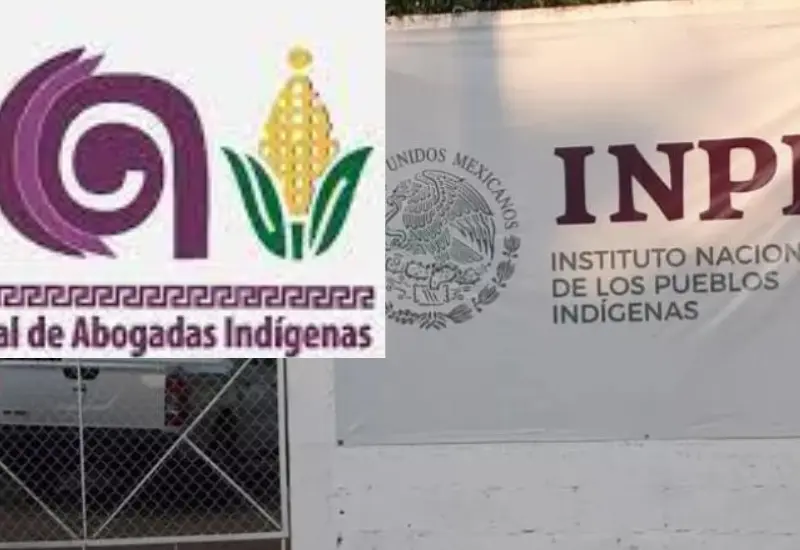 rai_denuncia_titular_inpi