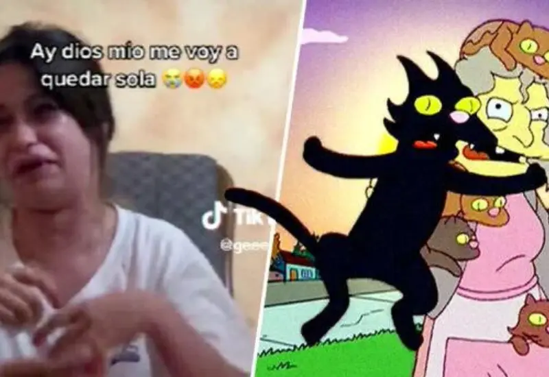 mujer_sin_novio_vivira_con_gatos