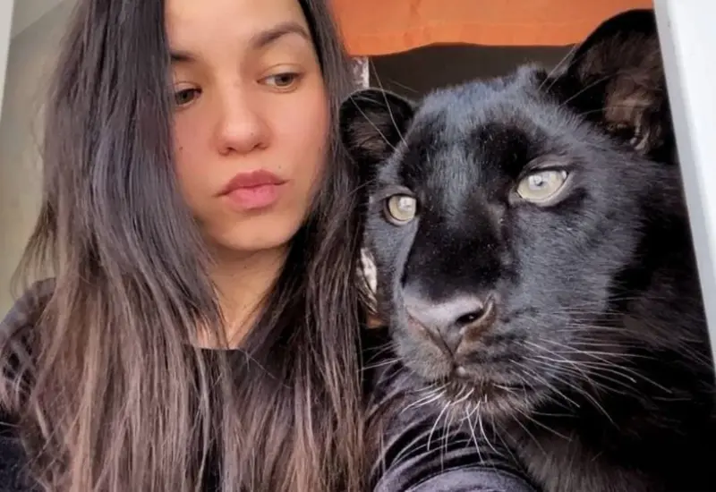 adopta_pantera_creyendo_que_era_gato
