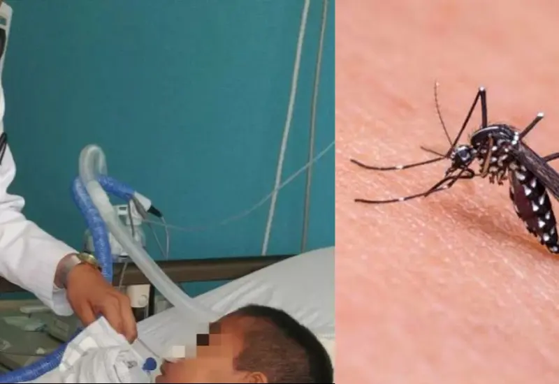 Dengue