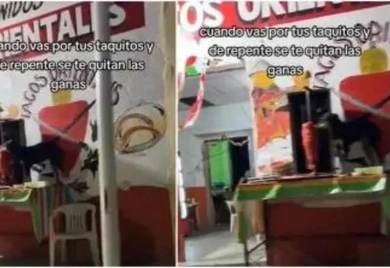 perrito_come_de_trompo_de_carne