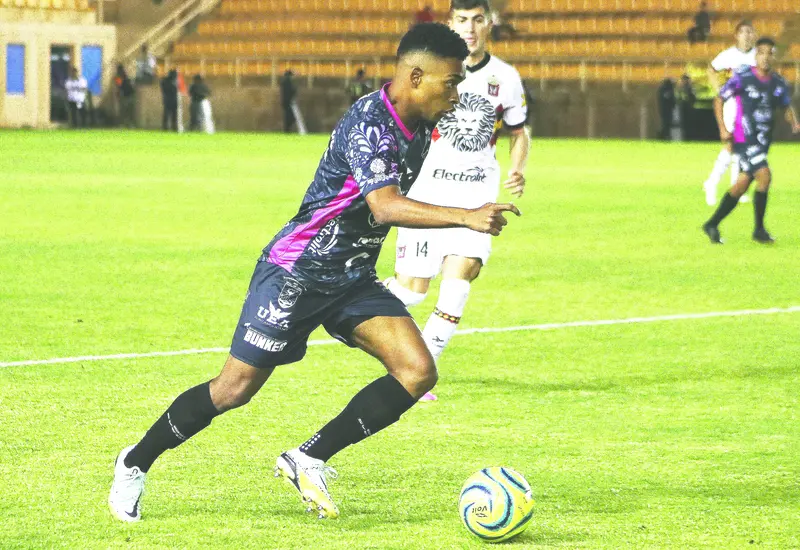 alebrijes-portada