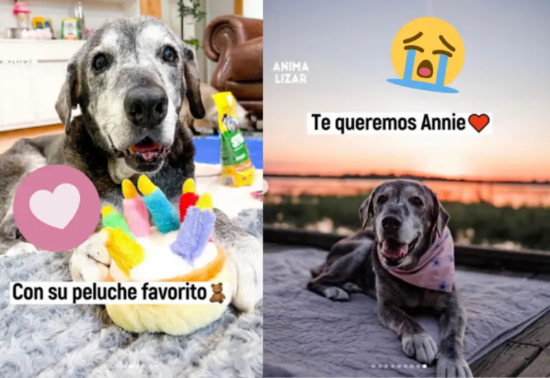 annie-portada