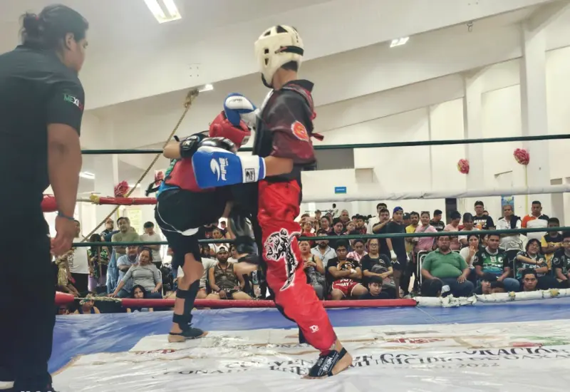 box-portada