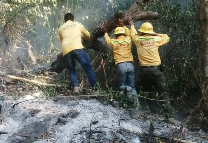 brigada-incendio-pinotepa-don-luis2