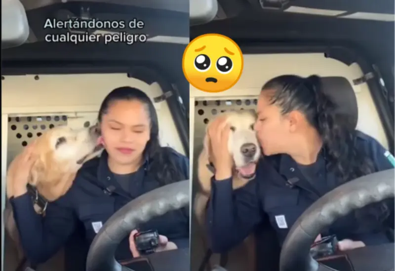 bubu-perro-portada