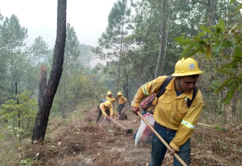 brigada_oficial_de_combatientes