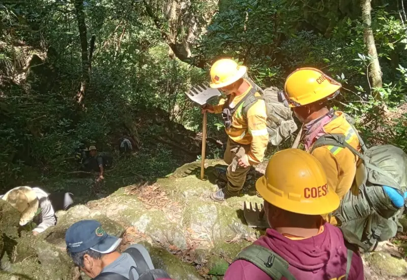 atiende_coesfo_ incendio_santiago_lachiguiri