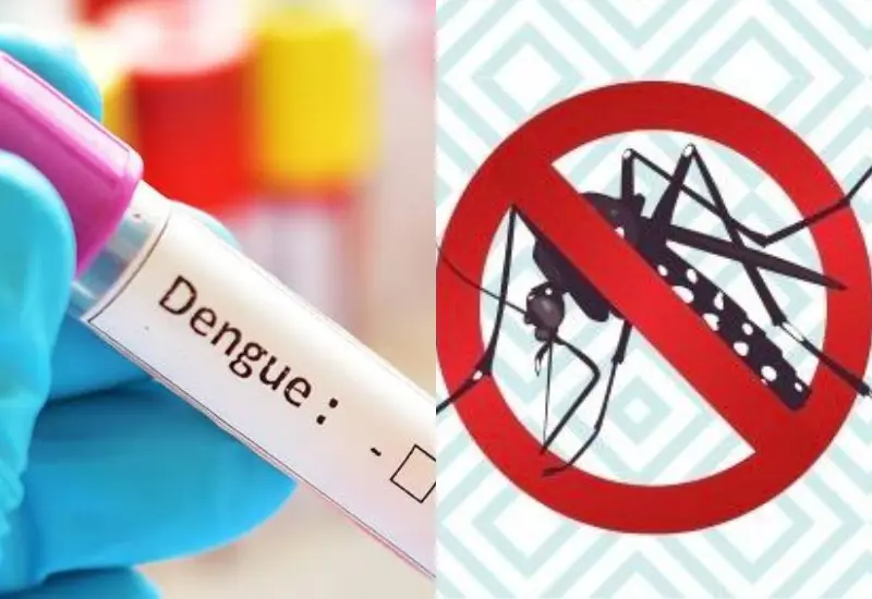 dengue