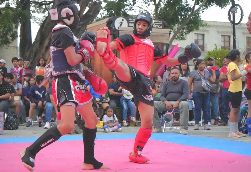 festival_de_deportes_de_combate