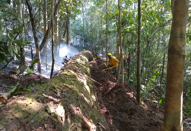avanzan_combatientes_incendio_chimalapas