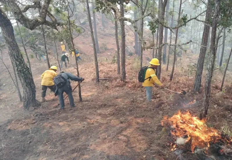 incendio-forestal