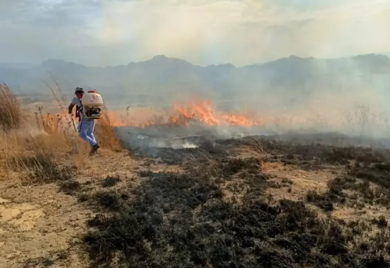 incendio-oaxaca