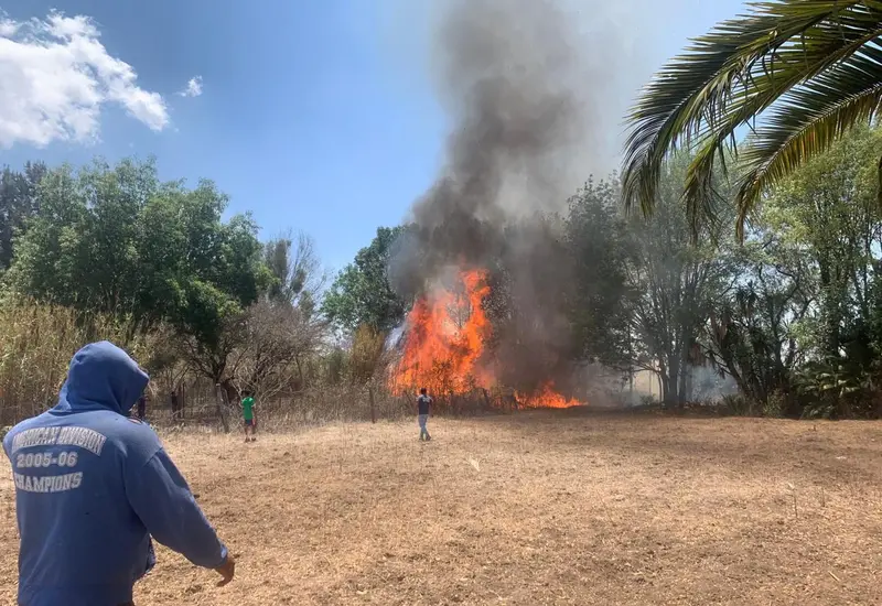 incendio-oaxaca