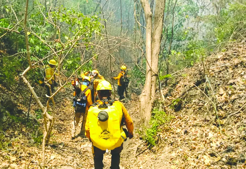 incendio-oaxaca