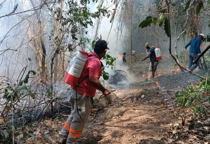 incendio-oaxaca