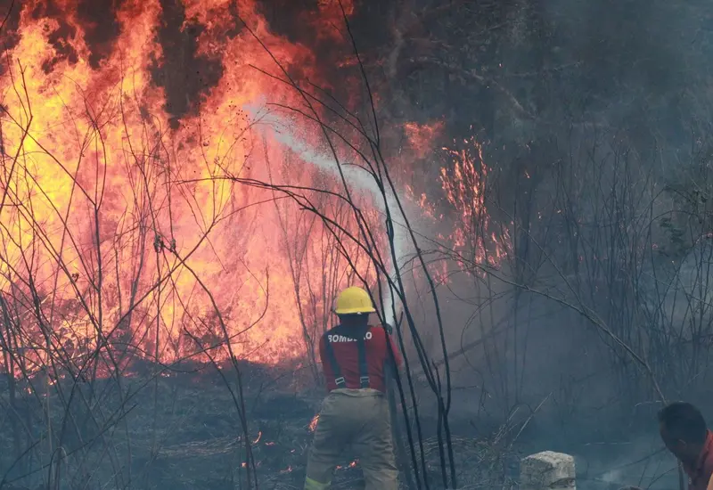 incendio-portada