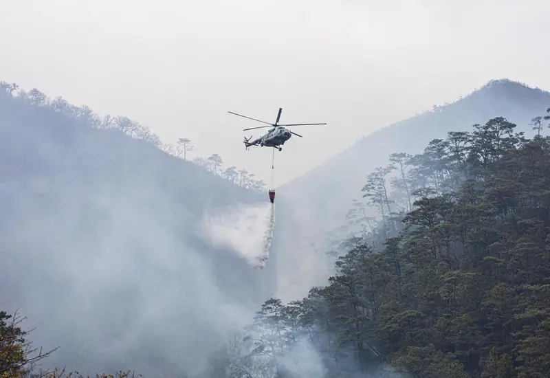 incendio-portaeda