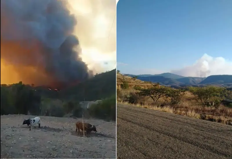 incendios-nochixtlan