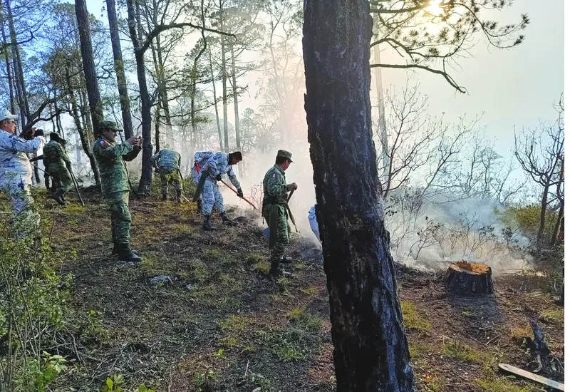 incendios-oaxaca