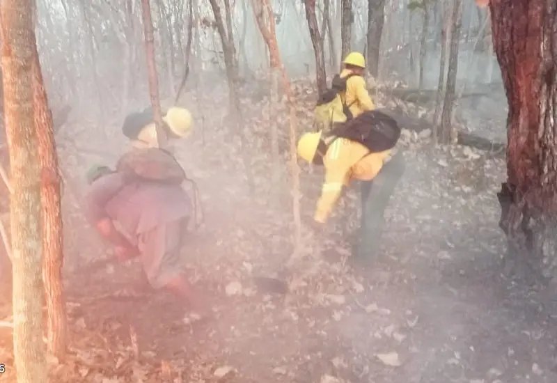 incendio-oaxaca