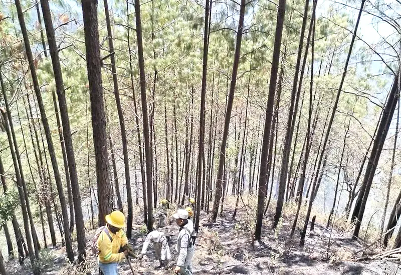 incendio-portada
