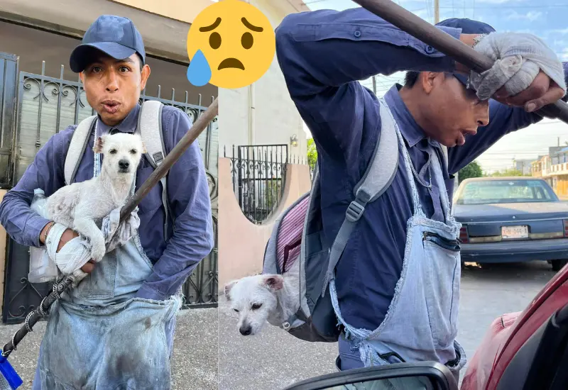 lomito_acompaña_humano_limpiaparabrisas