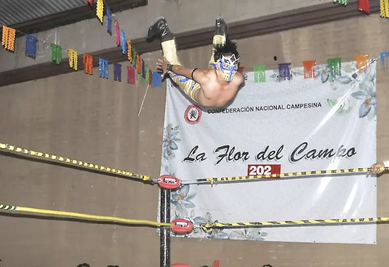 lucha-portada