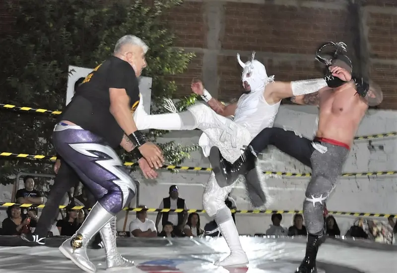 lucha-portada
